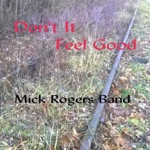 Download track You Don't Miss Your Water Mick Rogers Band