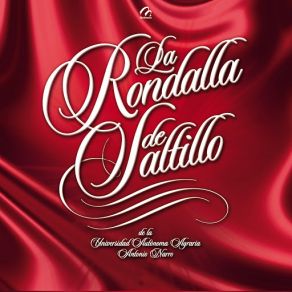 Download track Te Sigo Amando La Rondalla De Saltillo