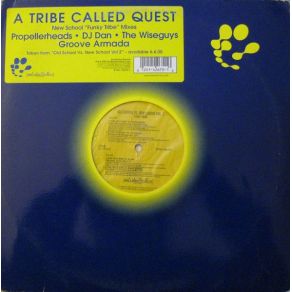 Download track Description Of A Fool (GA'S Acoustic Mix)  A Tribe Called Quest