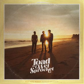 Download track Starting Now Toad The Wet Sprocket