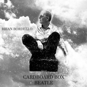 Download track Salamanda Fruit Fly Brian Bordello