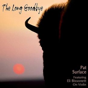 Download track Blind To The Truth (Folk Vocal) Pat Surface