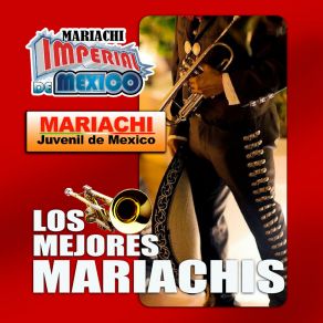 Download track Nos Estorbo La Ropa Mariachi Juvenil De Mexico