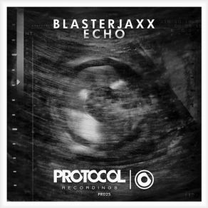 Download track Echo (Original Mix) BlasterJaxx