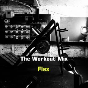 Download track Flex (Radio Edit) Workout Mix