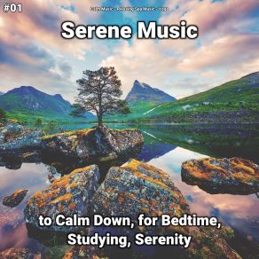 Download track Serene Music, Pt. 33 Yoga