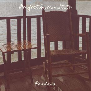 Download track Perfect Dream State Pradana