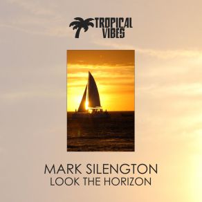 Download track Afro (Original Mix) Mark Silengton