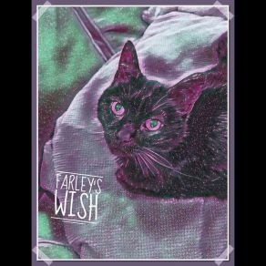 Download track Corners & Laundry (Taking Magic Mushrooms & Hanging With The Cat Soundscape) Farley's Wish