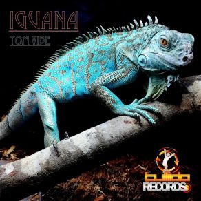 Download track Iguana (Club Edit) Tom Vibe