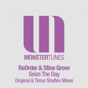 Download track Seize The Day (Timur Shafiev Remix) Stine Grove, ReOrderShafiev Timur