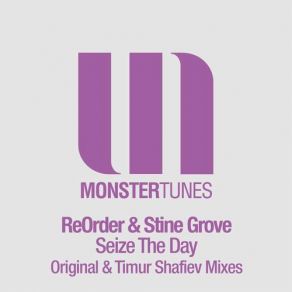 Download track Seize The Day (Radio Edit) Stine Grove, ReOrder