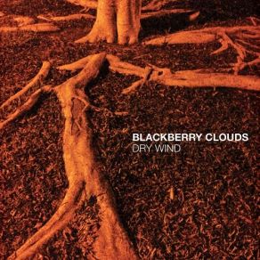 Download track Ballad Of The Fainthearted Man Blackberry Clouds