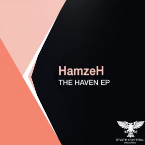 Download track Together We Can Fly (Extended Mix) Hamzeh