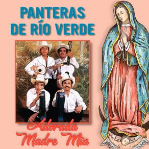 Download track Oh Madre Querida Panteras De Río Verde