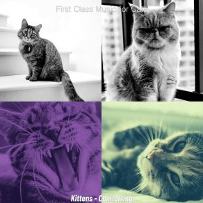 Download track Caring (Music) First Class Music For CatsThe Music