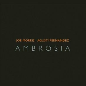 Download track Ambrosia-5 Joe Morris, Agustí Fernandez