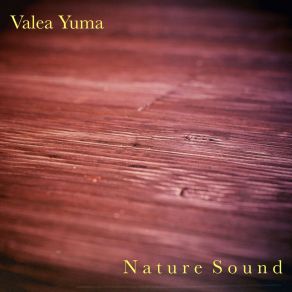 Download track To Run Valea Yuma