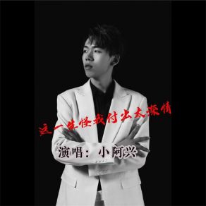 Download track 这一生怪我付出太深情 (伴奏) 小阿兴