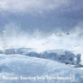 Download track Marvelous Sounding Snow Storm Ambience, Pt. 5 Steve Brassel