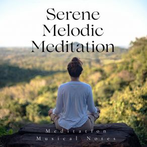 Download track Mindful Meditation Harmonies Meditation Musical Notes