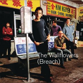 Download track Birdcage The Wallflowers