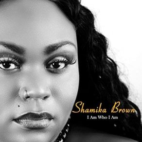 Download track Don't Ever Change Shamika Brown