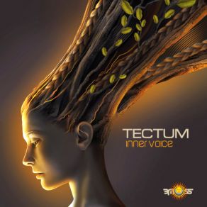 Download track Pyramid Of Light Tectum