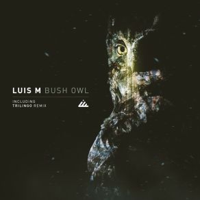 Download track Bush Owl (Trilingo Remix) Luis M