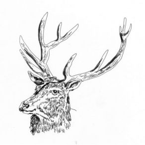 Download track First Of September Black Deer