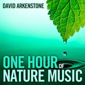 Download track Water Of Life David Arkenstone
