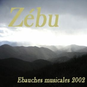 Download track Noir Et Blanc Zébu