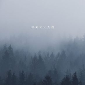 Download track 溺死茫茫人海 语音表哥