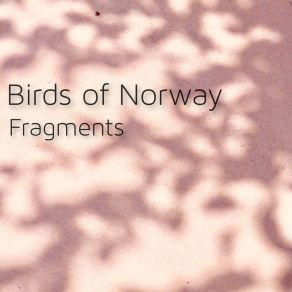 Download track A Place To Rest Birds Of Norway