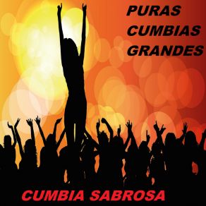 Download track Popurri Chico Che Cumbia Sabrosa