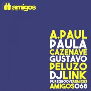 Download track Pure Groove (A. Paul Remix) DJ Link