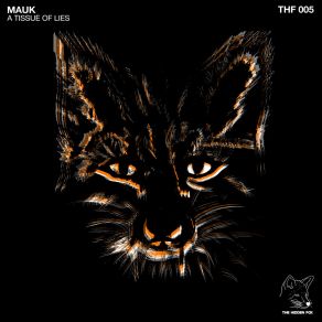 Download track A Tissue Of Lies (Original Mix) Mauk