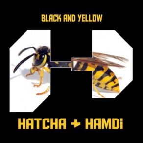 Download track Black And Yellow Flow Dan, Hatcha, Hamdi