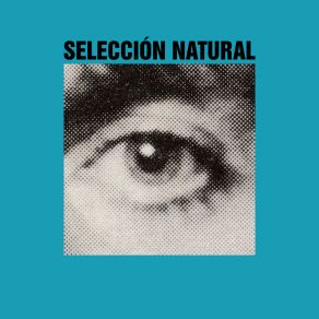 Download track Split Didactics (Original Mix) Seleccion Natural