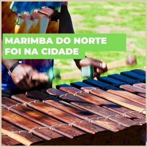 Download track Hoje Eu Vou Jogar Marimba Do Norte