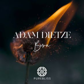 Download track Burn Adam Dietze