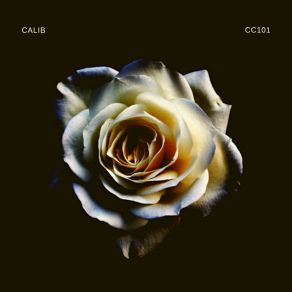 Download track All For The Calib