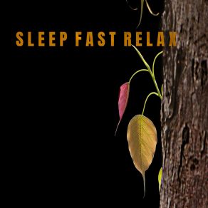 Download track Sleep Fast Relax And Enjoy. Relajación