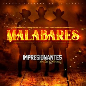 Download track Malabares Impresionantes De La Sierra