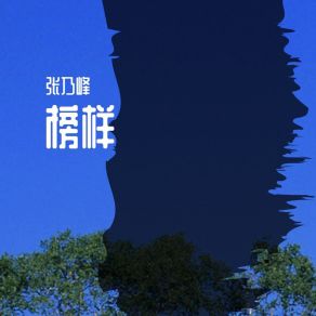 Download track 不一般的春节 张乃峰