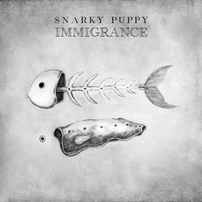 Download track Xavi Snarky Puppy