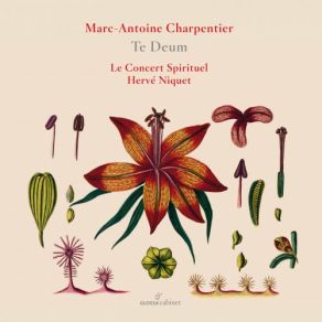 Download track Dixit Dominus H. 202: Trio & Choeur Le Concert Spirituel, Hervé Niquet