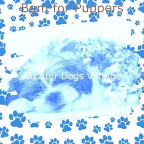 Download track Understated Music For Walking Dogs Jazz For Dogs Vintage