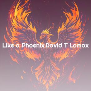 Download track Tik Tox David T Lomax