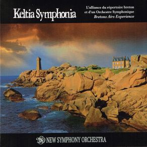 Download track Spirit Hollvedel Symphony Orchestra